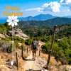 Pass nature – Image 3