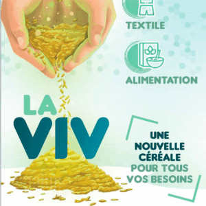 La Viv