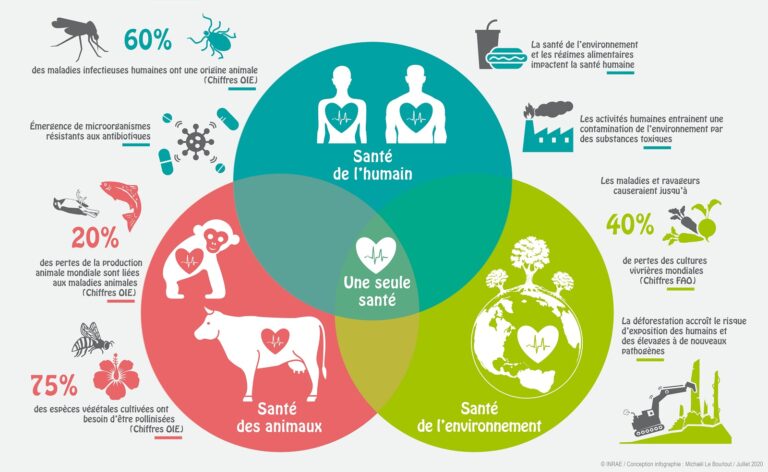 Illustration-One-Health_web
